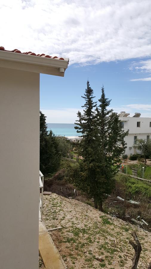 Hotel Sarajet E Pashait 2 Дермі Екстер'єр фото